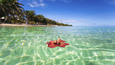 Tropical island Fiji Facts