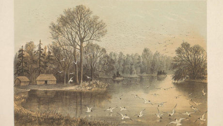 ancient-fiji Ancient Fiji